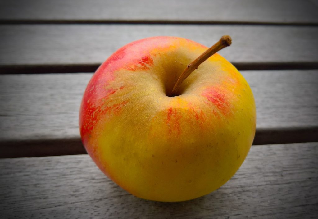 apple, fruit, elstar
